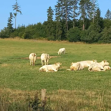 Lhotka Vakantiehuis Lhota u Lysic