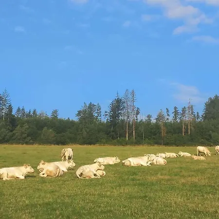 Lhotka Vakantiehuis Lhota u Lysic
